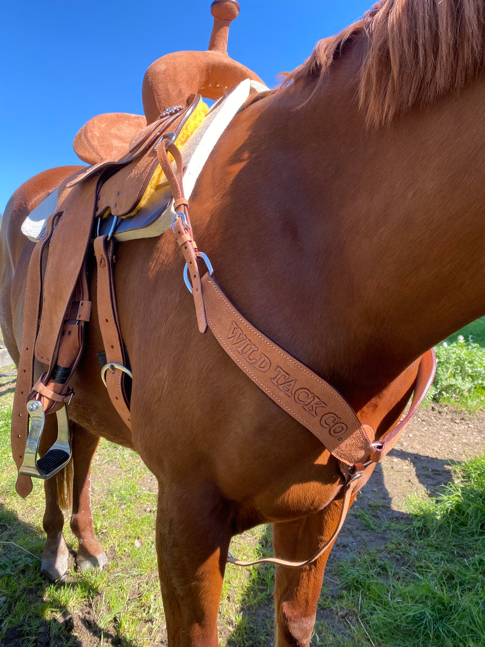 Roughout Wild Tack Breastplate