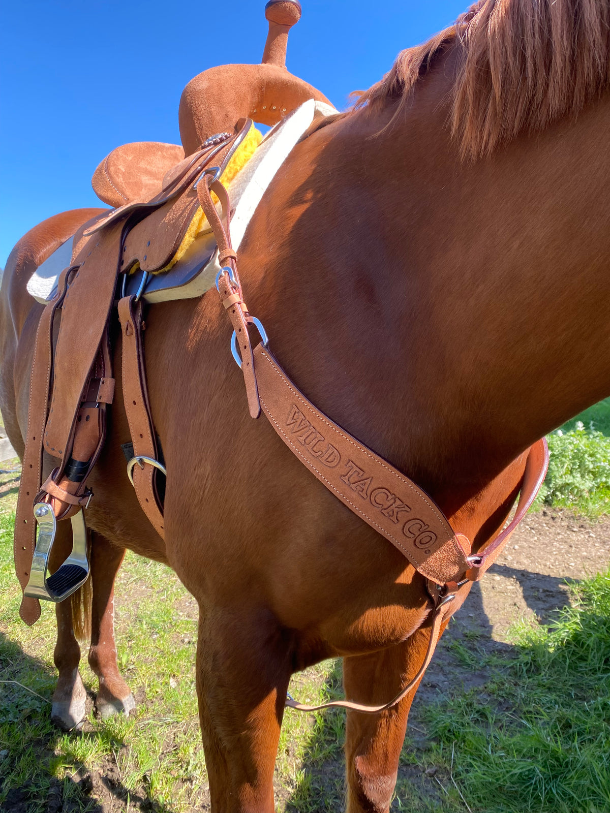 Roughout Wild Tack Breastplate